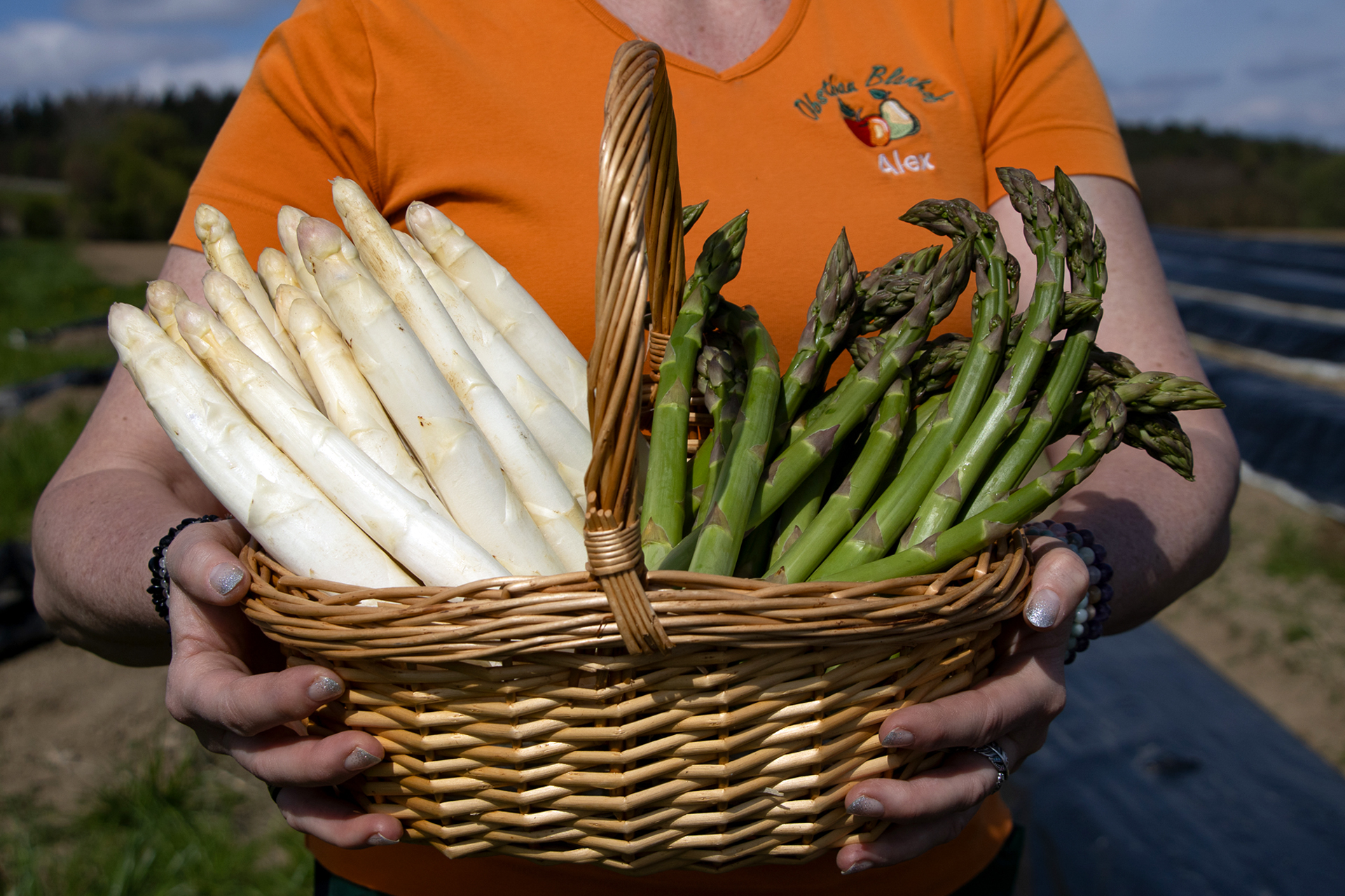 Obstbau Blanhof Spargel Angebot. Jetzt frisch vom Feld.