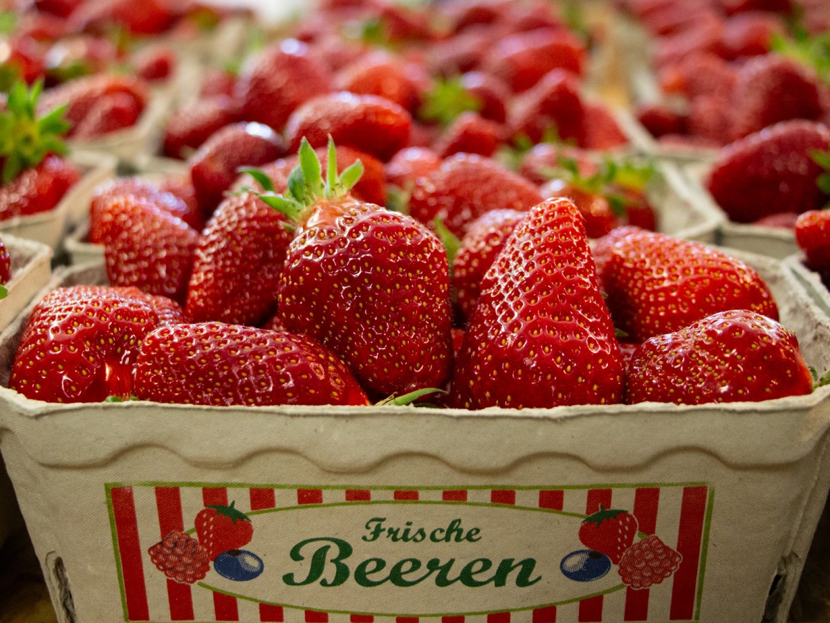 Erdbeeren vom Blanhof: Was der Körper braucht, was die Seele&nbsp;nährt