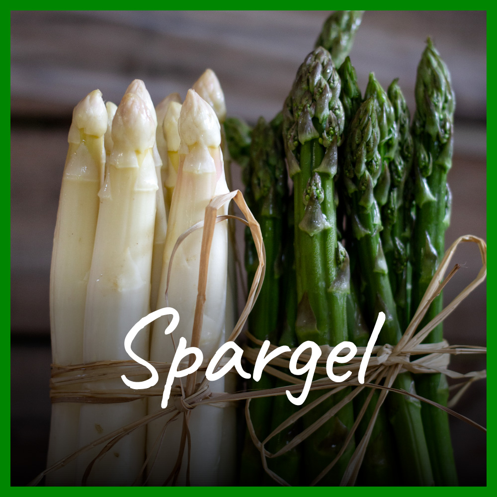 Erntefrischer Spargel, immer zur Spargelzeit