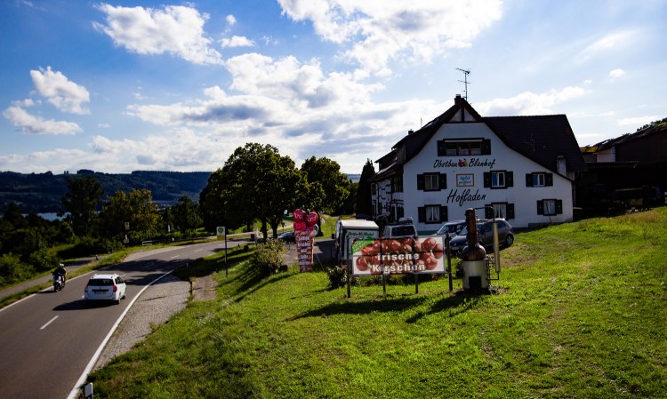 Obstbau Blanhof auf der Höri, direkt an der L192