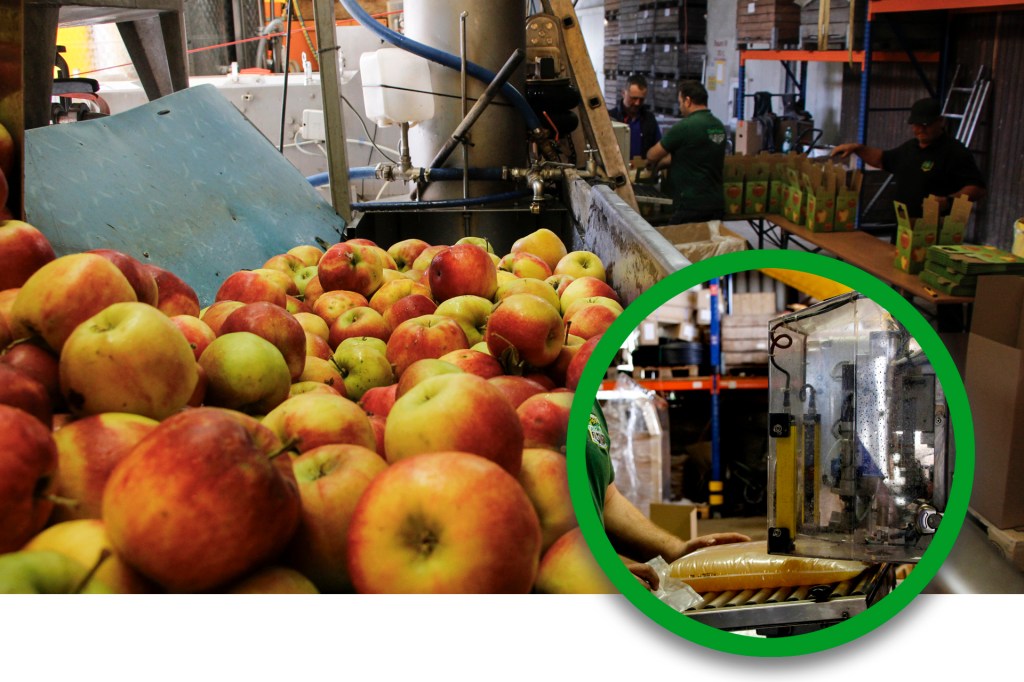 Apfel-saften auf dem Obstbau Blanhof