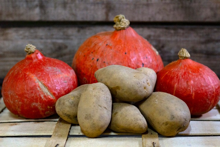Kartoffeln und Kürbisse vom Blanhof. In der Natur gewachsen.