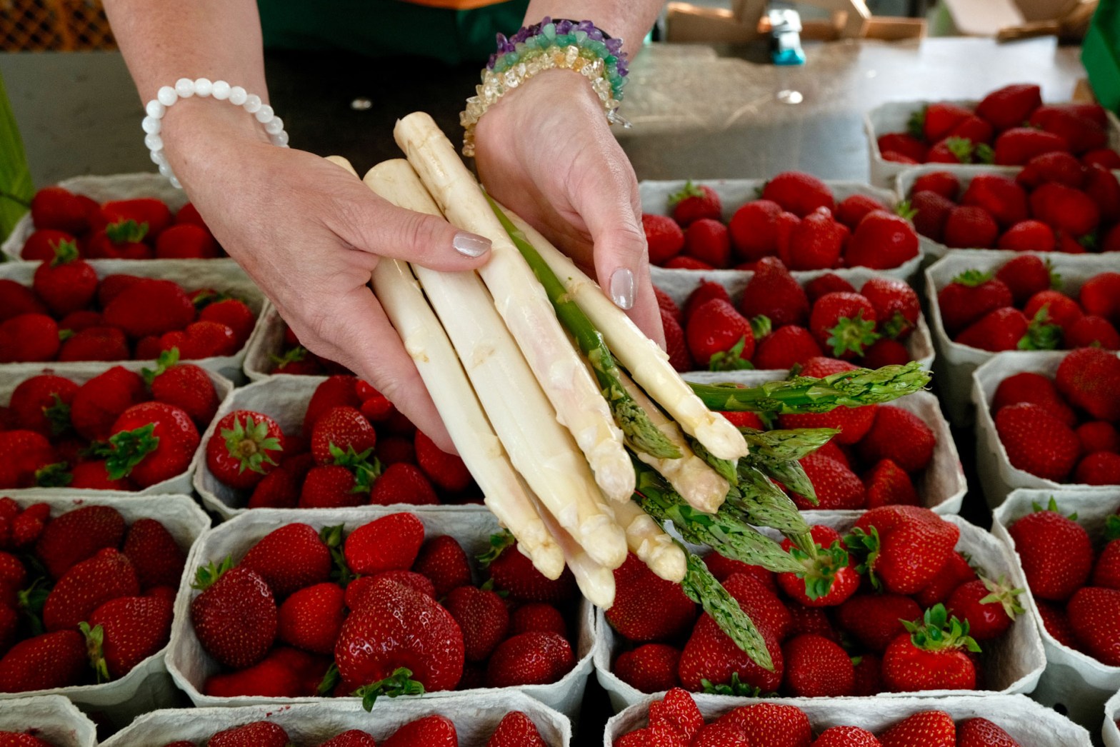 Ernte-frischer Spargel vom Obstbau Blanhof