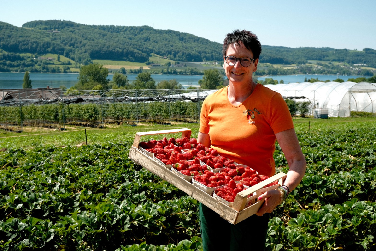 Unsere Erdbeeren kommen frisch vom Feld ohne Umwege