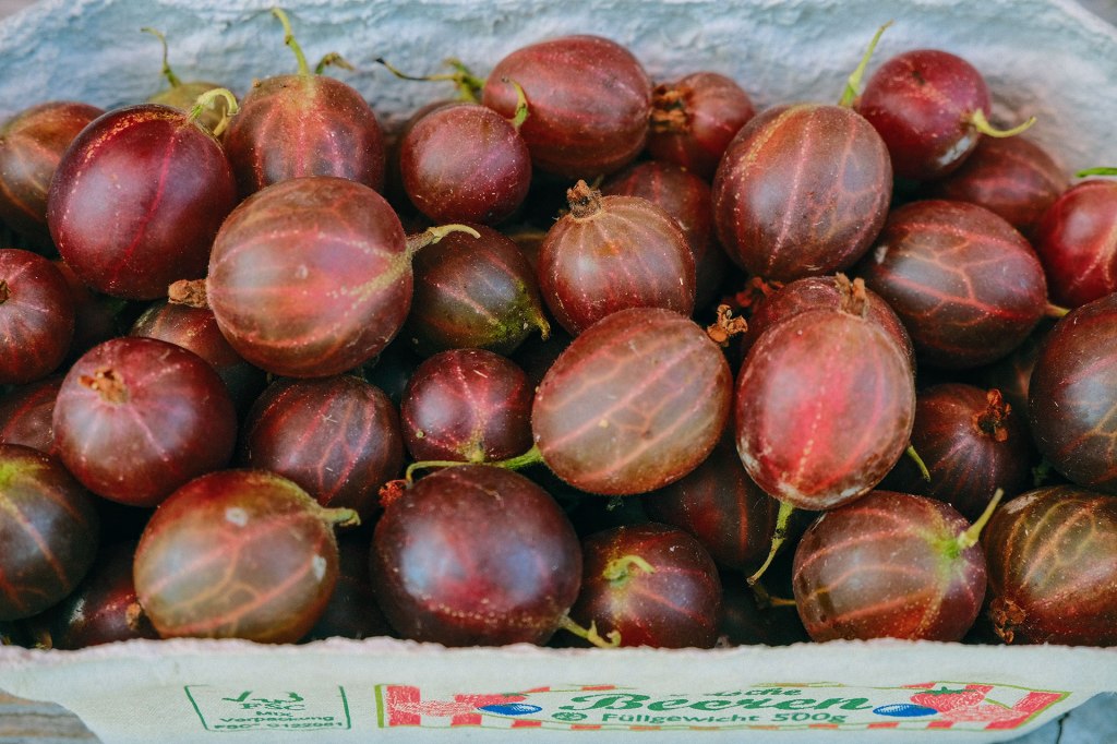 frische Stachelbeeren vom Blanhof