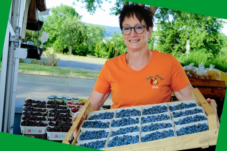 Regionale Heidelbeeren, frisch geerntet, erhältlich im Hofladen und an unseren Marktständen