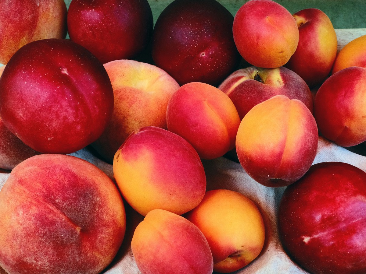 Die Früchte, die den Sommer&nbsp;lieben